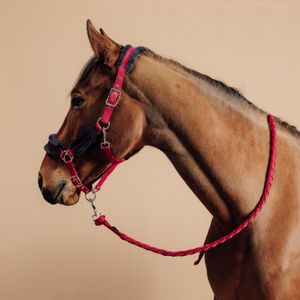 Set halster + halstertouw voor paarden en pony's comfort roze/zwartblauw