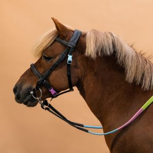 Hoofdstel en teugels voor pony's 100 initiation kunststof zwart