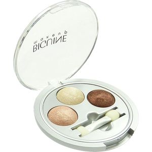Biguine Make Up Paris Eye Shadow Pallet - Oogschaduw - 2.4g - 6336 Expression Satin