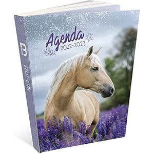 AGENDA PAARD 12 x 17 cm BOUCHUT