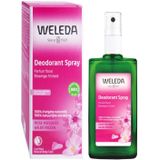 Weleda Wilde Rozen Deodorant Spray 100 ml