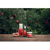 WELEDA - Verstevigende Body Butter - Granaatappel - 150ml - 100% natuurlijk