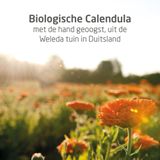 Weleda - Plantaardige Zeep - Calendula - 100gr - Natuurlijke Ingrediënten
