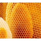 Weleda - Cold Cream - Gezichtsbalsem - 30 ml - 60% Vetgehalte