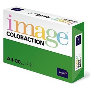 Antalis ColorAction kleurpapier voor inkjetprinter, laserprinter, kopieerapparaat, 80 g, A4, dublin/mosgroen, 500 vellen