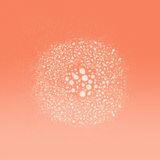 L’Oréal Paris Elvive Dream Lengths Heat Protect Hittespray - Lang, Beschadigd Haar - 230°C Hittebescherming - 150ml