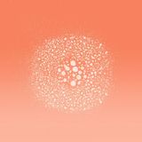 L’Oréal Paris Elvive Dream Lengths Droogshampoo - Lang, Beschadigd Haar - 200 ml