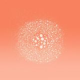 L’Oréal Paris Elvive Dream Lengths Droogshampoo - Lang, Beschadigd Haar - 6 x 200 ml