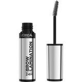 L'Oréal Paris - Brow Lamination - Wenkbrauwgel - Transparant - 6ml