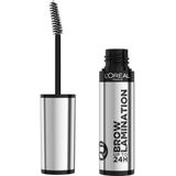 L'Oréal Paris - Brow Lamination - Wenkbrauwgel - Transparant - 6ml