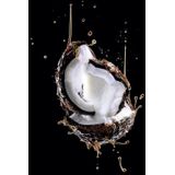 Elvive - Extraordinary Oil - Conditioner - Voedend - 200ml