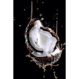 Elvive Shampoo - Krul Verzorging - Geel - Amla Olie