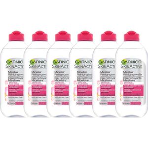 Garnier Skinactive Face SkinActive - Micellair Reinigingswater voor de Droge Huid - 6 x 400ml – Reinigingswater