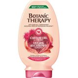 Garnier Botanic Therapy Conditioner versterkt broos haar ricinusolie en amandelolie, 200 ml