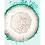 Garnier Fructis Coco Water Invisible Dry Shampoo - Droogshampoo - Voordeelverpakking 6x100ml