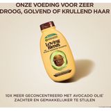 Garnier Loving Blends Shampoo Avocado Olie & Shea Boter Zeer Droog of Pluizig Haar