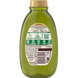 Garnier - Loving Blends - Shampoo - Mythische Olijven - Natuurlijke oorsprong