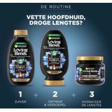 Garnier - Magnetic Charcoal - Conditioner - Vette Hoofdhuid - Droge Lengtes - 97% Natuurlijke Oorsprong