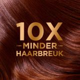 Garnier Loving Blends Honing Goud Hair Remedy Haarmasker Voordeelverpakking - Herstellend Masker Voor Beschadigd, Breekbaar haar - 6 x 340ml