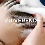 Garnier - Loving Blends - Shampoo - Charcoal - 400ml - Natuurlijke Oorsprong