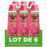 Ushuaïa Compressed deodorant 48 uur granaatappel