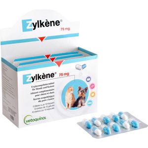 Suplemento de L-lisina, vetoquinol, enisyl-F, pasta oral, 100 ml Suplemento de L-lisina, vetoquinol, enisyl-F, pasta oral, 100 ml