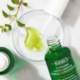 Kiehl’s Cannabis Herbal Concentrate Hydraterend serum 30 ml