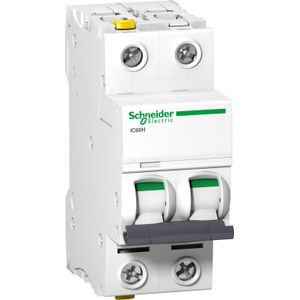 Schneider Electric - A9F07216 - Stroomonderbreker - 2-polig - 16 A - C-karakteristiek