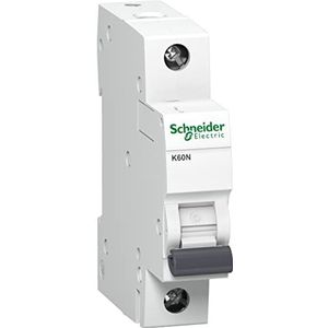 Schneider Electric A9K01113 zekering Ministroomonderbreker Type B 1