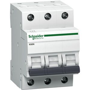 Schneider Electric A9K01316 zekering Ministroomonderbreker Type B 3