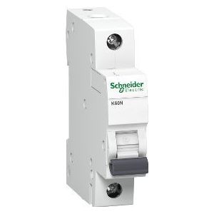 Schneider Electric A9K02102 zekering Ministroomonderbreker Type C 1