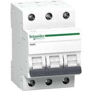 Schneider Electric A9K02320 zekering Ministroomonderbreker Type C 3