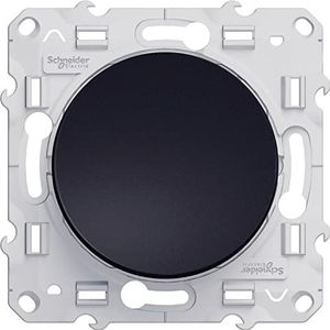 Schneider Electric - Odace, antraciet 10 A, met schroef - S540205