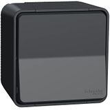 Wisselschakelaar Buiten - Opbouw - Antraciet - Mureva Styl - Schneider Electric - MUR35021