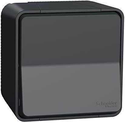 Wisselschakelaar Buiten - Opbouw - Antraciet - Mureva Styl - Schneider Electric - MUR35021