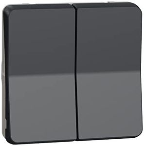 Schneider Electric - Mureva Styl - Dubbele drukknop - Componeerbaar - IP55 - IK07 - Grijs - MUR35326