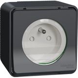 Schneider Electric Mureva Styl Gniazdo 2P+PE klemmen śrubowe antracytowe MUR36030