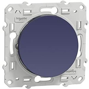 Schneider Electric S550204 Odace, heen en weer, 10 A, schroef, kobalt
