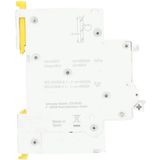 Aardlekautomaat - 1P+N - 16A - B-Karakteristiek - 6000A - 30mA - Type A - Resi9 - Schneider Electric - R9D01616