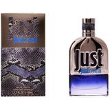 Roberto Cavalli Just Cavalli Man Eau de Toilette 90 ml