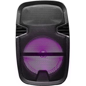 Blaupunkt BP-3975 bluetooth speaker met lichteffecten (inclusief statief)