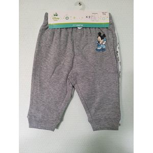 Heerlijke broekjes Disney Baby - 2 stuks - Maat 74