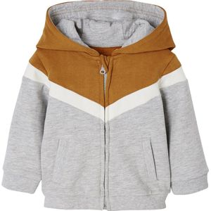 Vertbaudet Vest jongensbaby met rits met capuchon
