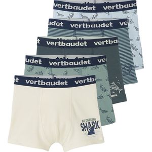 Boxershorts - Set van 5 - Diverse Prints - Katoen/Elastaan