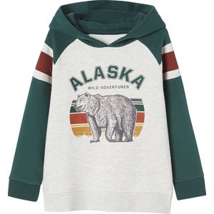 Vertbaudet Jongenssweater met capuchon, grafisch motief en raglanmouwen