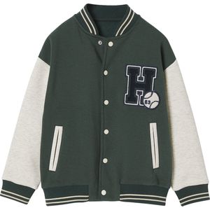 Vertbaudet Teddy-sweatshirt in fleece voor jongens met lusbadge