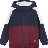 Vertbaudet Sportieve sweater met rits en capuchon, colourblock effect, jongens