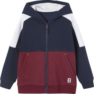 Vertbaudet Sportieve sweater met rits en capuchon, colourblock effect, jongens