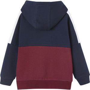 Vertbaudet Sportieve sweater met rits en capuchon, colourblock effect, jongens