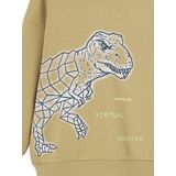 Vertbaudet Jongenssweater met dinomotief en sherpagevoerde capuchon